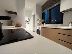 Palisades (D5), Condominium #498731381